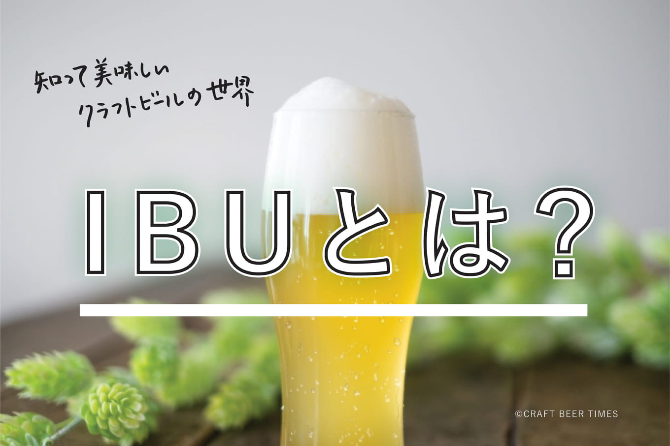 Ibuとは ビールの苦味が苦手な人にはibuの低いビールがオススメ Craft Beer Times